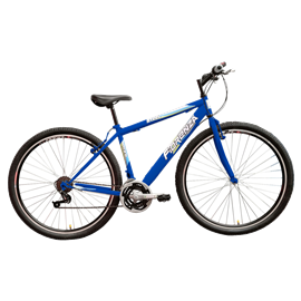 Bicicleta Mountain Bike Fiorenza Steel 615 Rodado 29                       